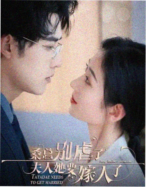 首尔星辰 韩国 2014